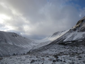 A blustery day