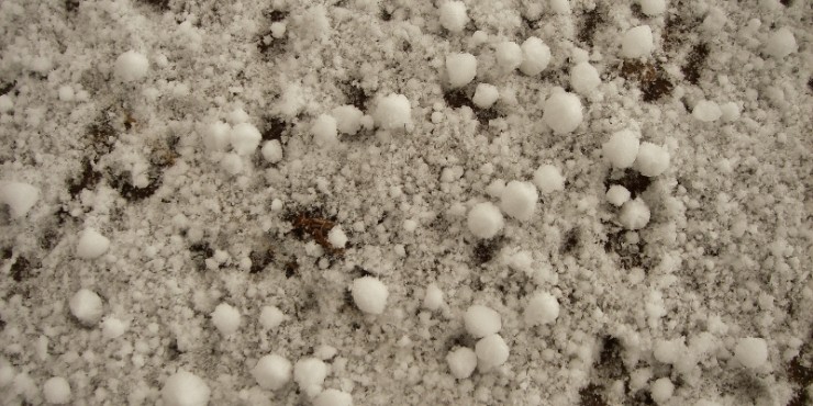 Various sizes of graupel during the showers.