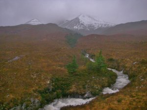 Very Wet, Very Windy, Mild