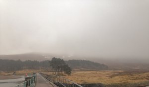 Hill Fog and Drizzle