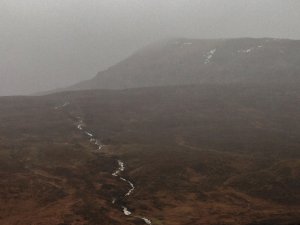 Very Mild, Very Wet and Very Windy!