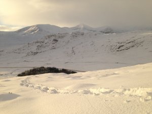 Snowshoes and Snow Showers