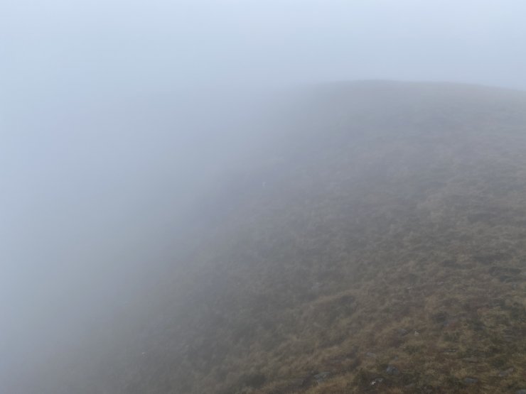 A Very steep South-East aspect at 760 metres, no snow to be seen.