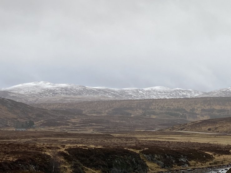 Some 650m hills to the NW of Ben Wyvis today. Some snow just beginning to build on ridge edges.