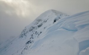 A Snowy Landscape