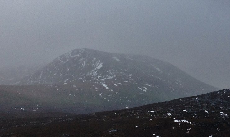 North top of Beinn Liath Mhor Fannaich - 830m. Most snow remains around the coire rim on a NE aspect.