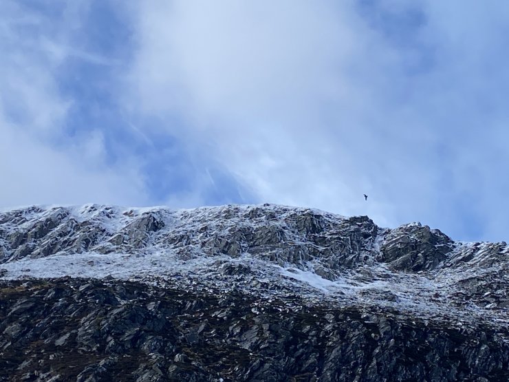 Beinn Liath Mhor Fannaich crags looking more Wintery than they really were. Spot the Eagle.