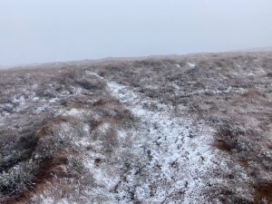 A Dusting of new snow