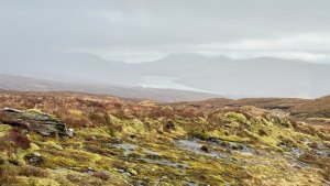 Grey Mild and Cloudy