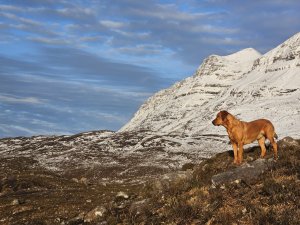 End of 2025/26 forecasting season